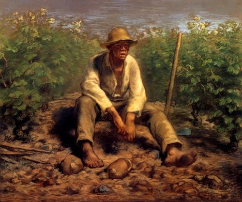 Millet - vineyard worker resting