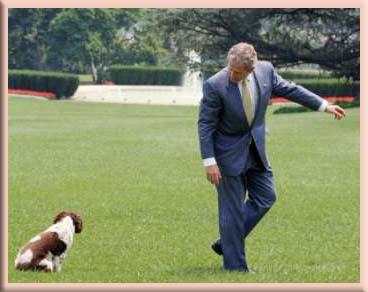 presidential dogs