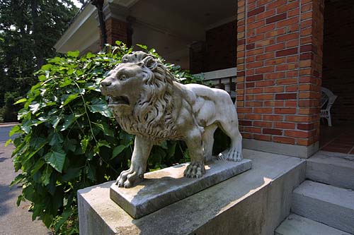 left lion