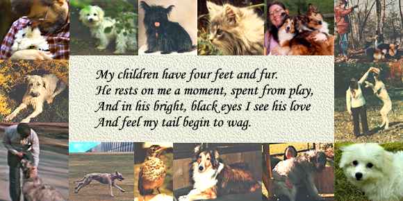 My children have four feet and fur.  He rests on me a moment, spent from play, and in his bright,
black eyes I see his love and feel my tail begin to wag.